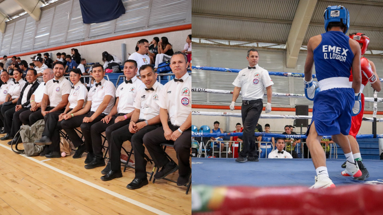 boxeo