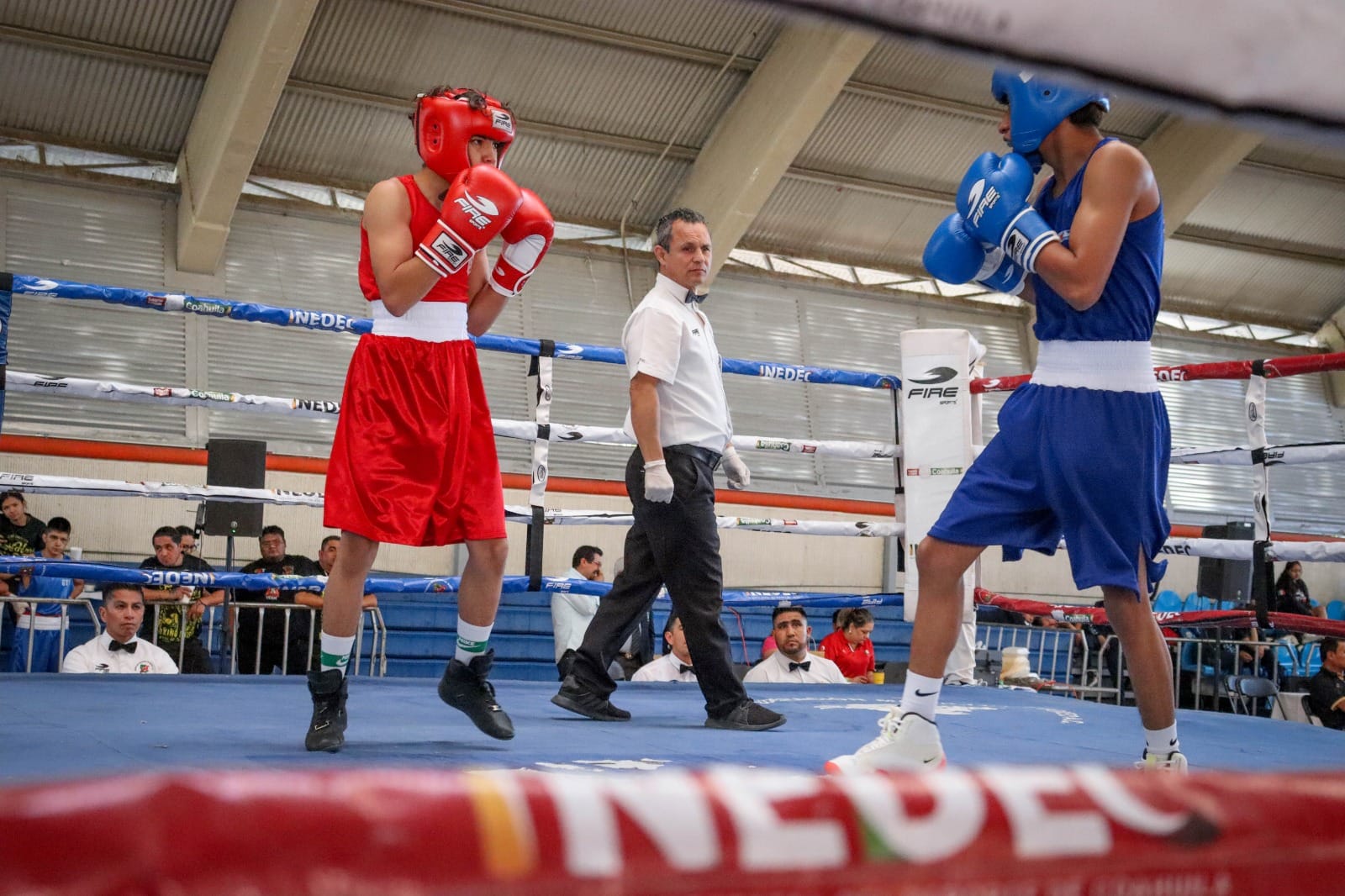 boxeo morelos
