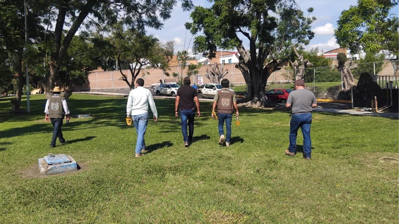 oaxtepec inspeccion perros