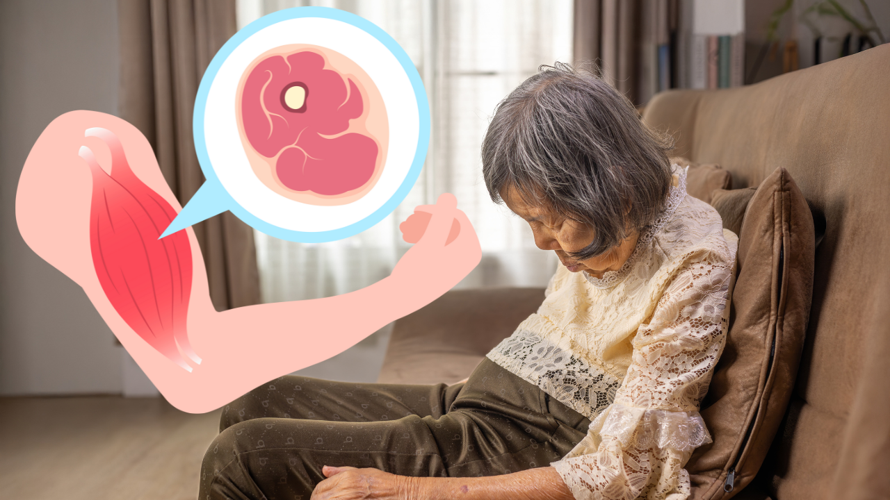 Menopausia: cambios hormonales, nutrición y recomendaciones clave